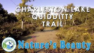 Early Morning Hike On Charleston Lake's Quidditty Trail - Nature's Beauty