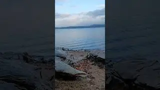 ❤️ Daily dose of healing by the water