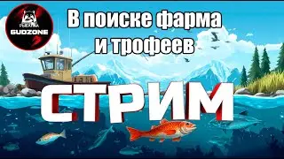 РР4 СТРИМ  •⭐НОЧНОЙ ЧИЛОВЫЙ СТРИМ - ОХОТИМСЯ ЗА ТРОФАМИ⭐#рр4 #рр4стрим