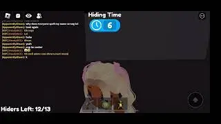 Mega hide and seek glitches
