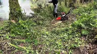 Brush cutter blade meets Reed&rsquo;s and brambles!