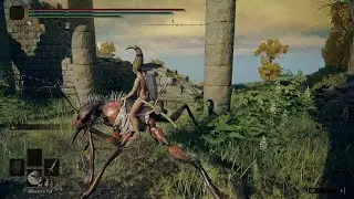Elden Ring | Testing Unused Mounts (and things that weren't intended to be mounts)