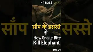 How Snake Bite Kill Elephant #shorts🪱