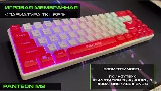ИГРОВАЯ МЕМБРАННАЯ TKL (65%) КЛАВИАТУРА С LED-ПОДСВЕТКОЙ MULTICOLOR LIGHT PANTEON M2
