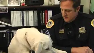 Animal Control and Care Unit