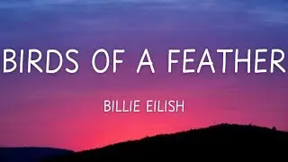 Billie Eilish - Birds Of A Feather (Slowed and Reverb)