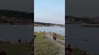 Gasworks Park Seattle #shorts