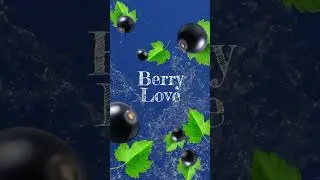 BERRY FUSION Motion Graphics by Skyfalke Digital