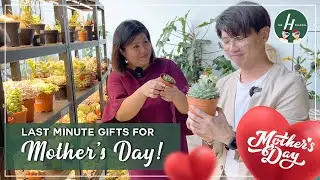 Last Minute Gifts For Mother's Day! | The H Channel