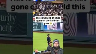 поле в этом году #mlblb #профессиональныйспорт #mlb