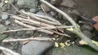 Alternative foods Ng Rabbit #rabbit