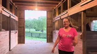 Time to feed the horses. You can see through a fly mask