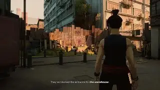 Sifu The Squats !!!perfect run!!!