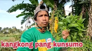 Harvest po tayo ng KANGKONG pang kunsumo
