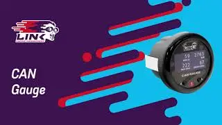 The Link ECU CAN Gauge