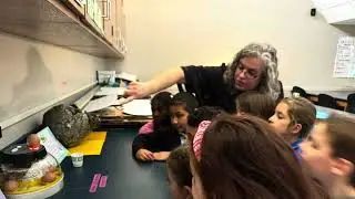 7th Grade Life Science