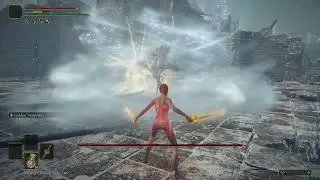 Elden Ring - Commander Niall (No Hit, Ornamental Straight Sword)
