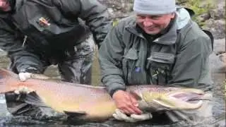 Monster 40 lb Salmon-Three Rivers-Kola Peninsula