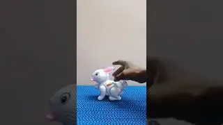 Bud Jumping Rabbit is a battery operated toy.  