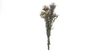Vickerman 8-20