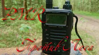 Тест дальности связи на частотах PMR в лесу летом.