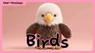 🧸🎈🦄 Play English 🐥🎶🌈 Kids Language Learning | 34 Beautiful Birds Names for Toddlers & Kids  🕊️🦉🦜