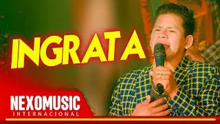 Carlos Abel - INGRATA  (PRIMICIA 2023) 🚀 Nexo Music ❤️