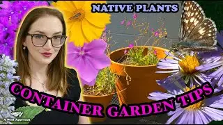 Native Container Garden Tips || Eastern United States