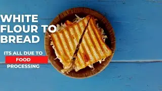 What is Food processing// food information hub in urdu/hindi.