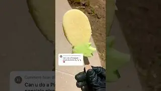 How To Find A Perfect Frollies Pineapple Popsicle? #Frollies #Popsicle #FrolliesPopsicle