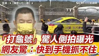 網友曝廖老大「打龜號」驚人側拍 　嚇喊「真的強」：手機都抓不住｜三立新聞網 SETN.com