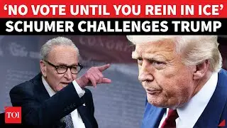 Schumer DARES Trump On ICE After Rare Deal Stripping DHS Funding To Halt Shutdown: ‘No Vote Unless…’