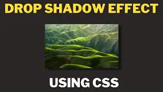 CSS Drop Shadow Effect In Image | Cool Coding Tamil
