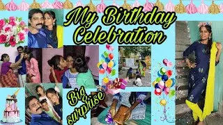 My Birthday Celebration in tamil/birthday surprise/tamil vlogs