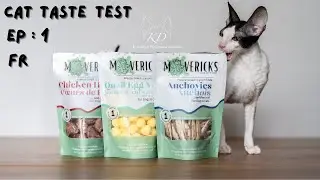 Mao Mao &ndash; Chaton Cornish Rex teste 3 g&acirc;teries lyophilis&eacute;es #asmr  #CornishRex #Chat #chaton