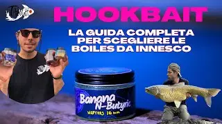 TANCHO BAIT HOOKBAIT: la guida completa per scegliere le boiles da innesco (AMUR OVER 20 kg)
