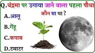 GK Question || GK In Hindi || GK Question and Answer || GK Quiz ||