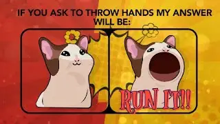 WTF was this game!?