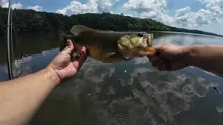 Burke Lake Park Summer Fishing
