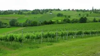 Zivjeli from the World Wine Guys