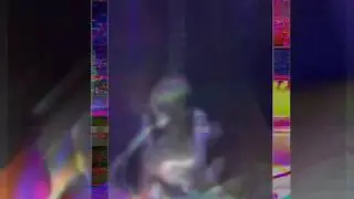 The Cherry Wave - Rotter (OFFICIAL VIDEO)