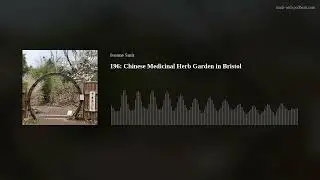 196: Chinese Medicinal Herb Garden in Bristol (30-1-25)