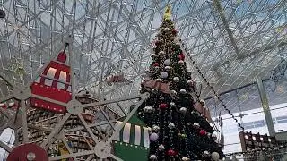 Christmas Coex 6