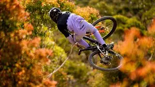 Harry & Wilkin - FULL THROTTLE