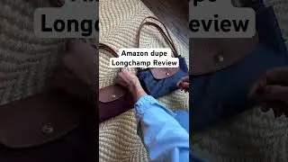 Real Longchamp Bag vs. Amazon Dupe Comparison