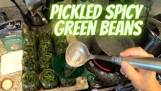 Pickled Spicy Green Beans | Homemade Pickled Spicy Green Bean Recipe