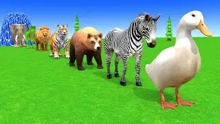 Long Slide Game With Cow Elephant Gorilla Hippopotamus Tiger 3d Animal Game Funny 3d Animals