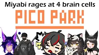 【Pico Park】Miyabi rages at 4 braincells
