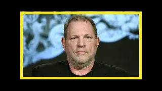 Breaking News | Weinstein company: allegations 'an utter surprise' to board