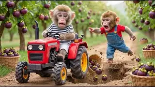 Farm Harvest Turns Wild as a Thief Steals the Cart 🍎🚜 | Monkey Farm Adventure